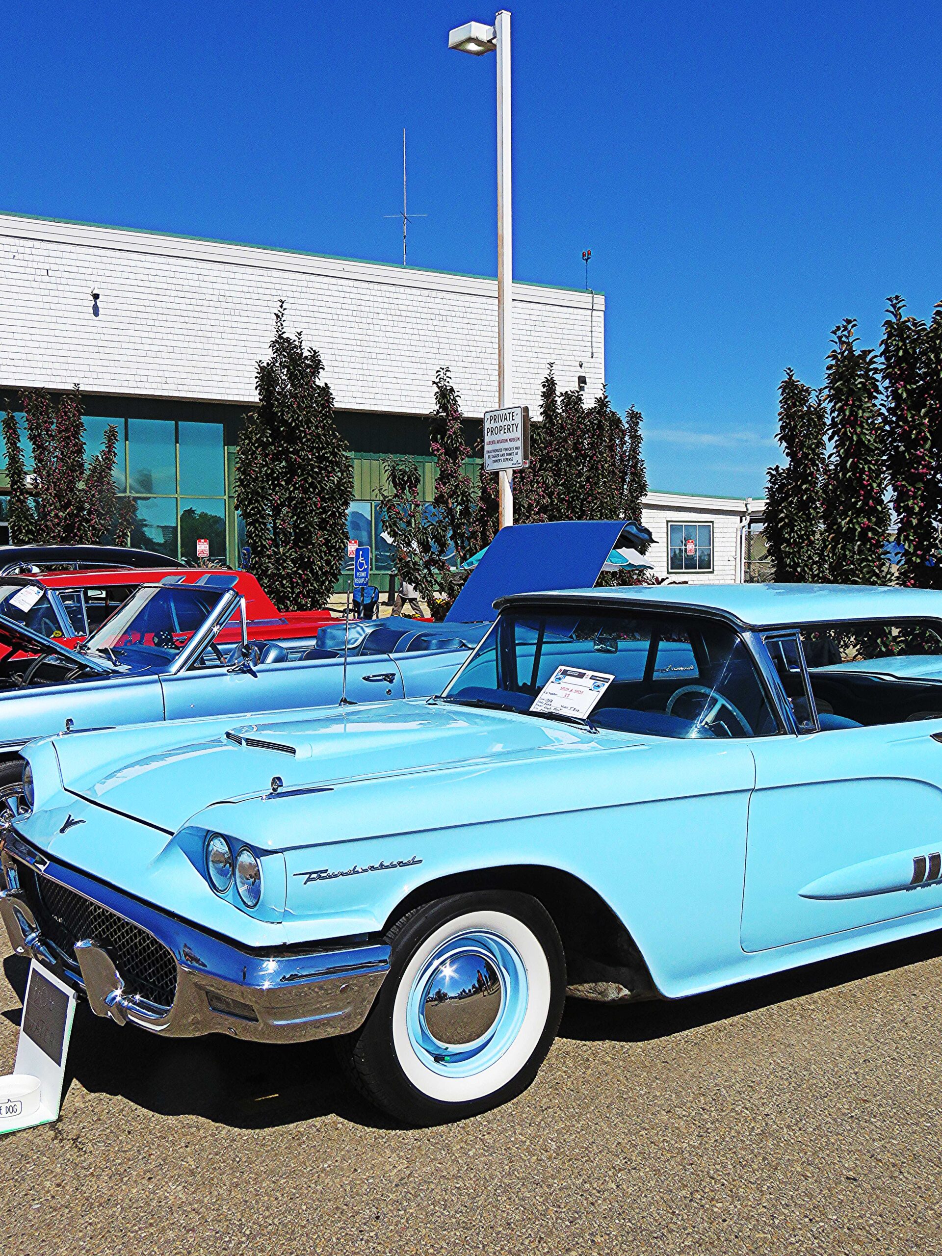 Carshow 8 Carshow 8