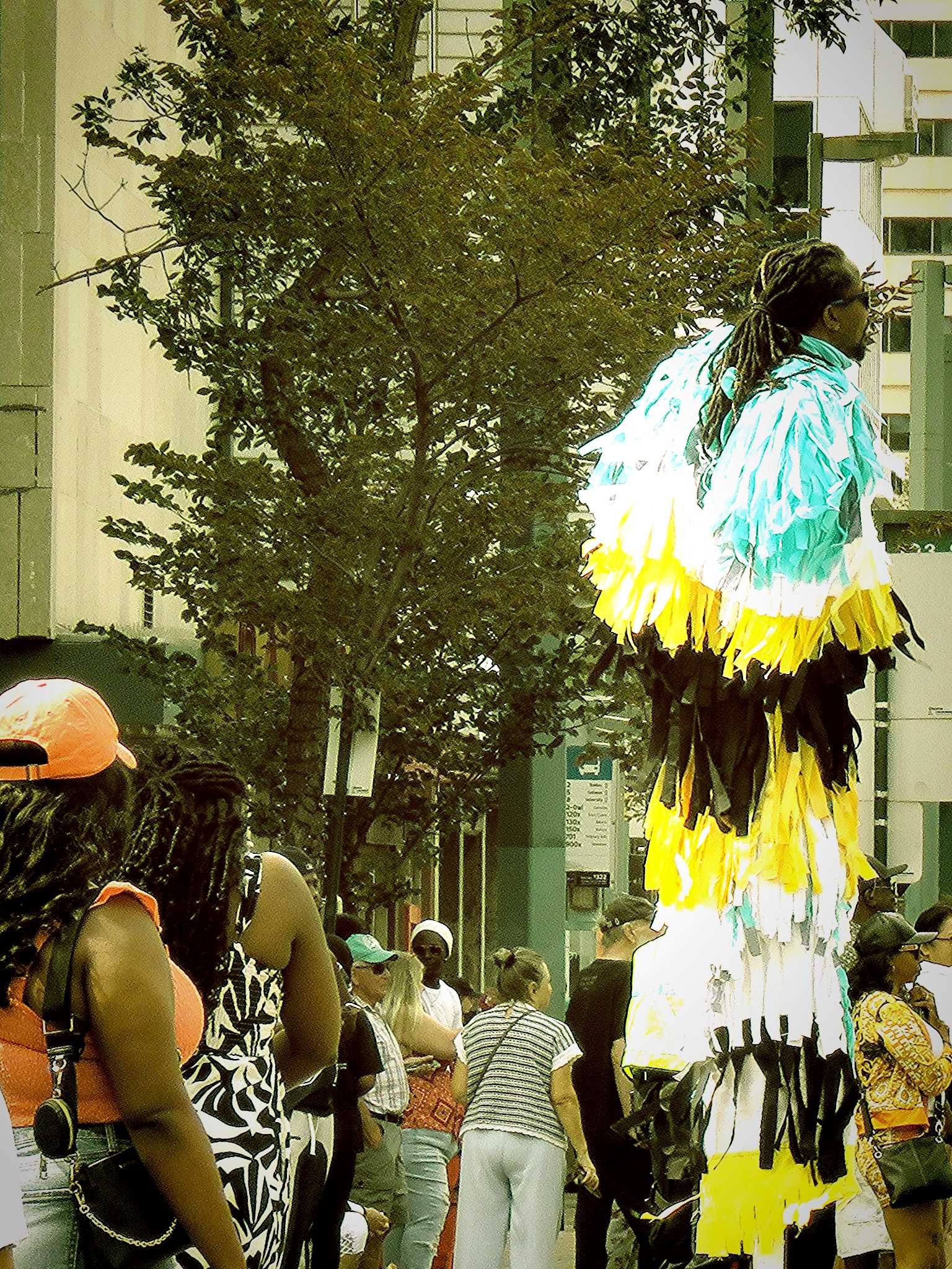 Cariwest 32 Cariwest 32